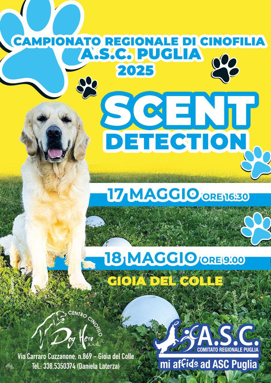 cover_image